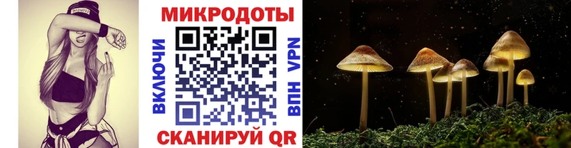 Галлюциногенные грибы Cubensis  Купить где  Находка 