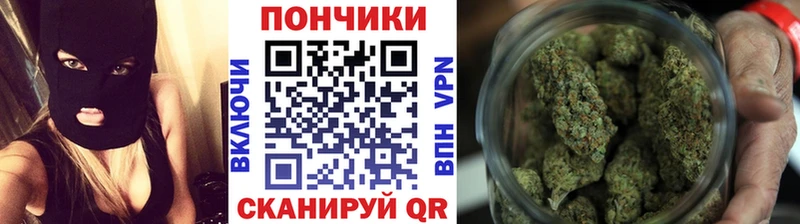 Шишки марихуана сатива Находка